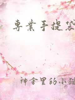 专业手提袋定做