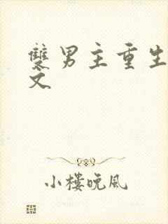 双男主重生救赎文