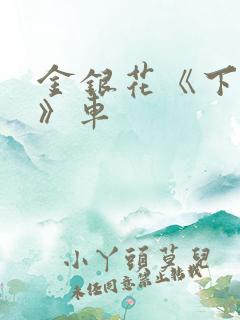 金银花《下厨房》车