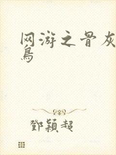 网游之骨灰级菜鸟