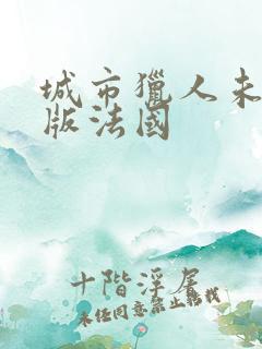 城市猎人未删减版法国