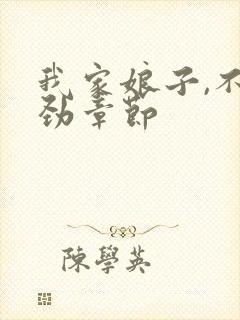 我家娘子,不对劲章节