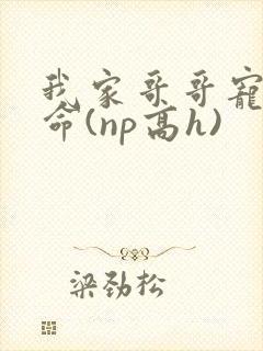 我家哥哥宠妹如命(np高h)