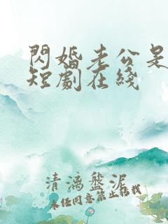 闪婚老公是豪门短剧在线