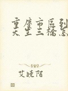 重庆市区到武隆天生三桥怎么去