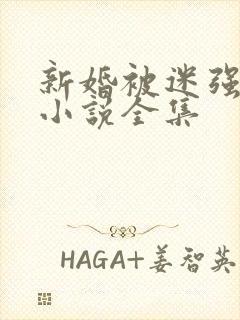 新婚被迷强系列小说全集