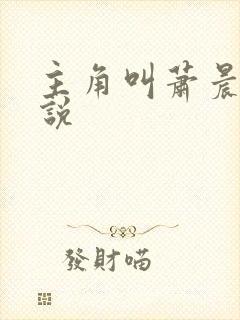 主角叫萧晨的小说