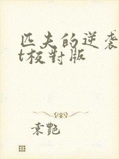 匹夫的逆袭txt校对版