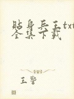 贴身兵王txt全集下载