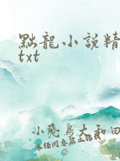 黜龙小说精校版txt