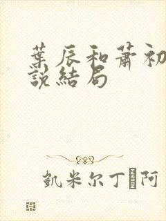 叶辰和萧初然小说结局