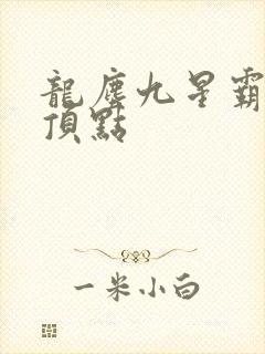 龙尘九星霸体诀顶点