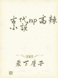 古代np高辣文小说
