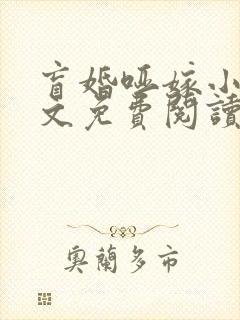 盲婚哑嫁小说全文免费阅读