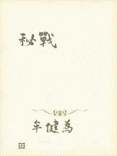 秘战