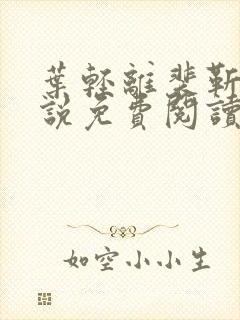 叶轻离裴靳墨小说免费阅读无弹窗