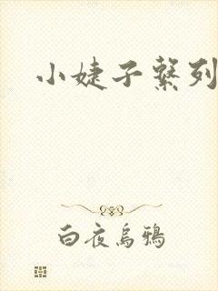 小婕子系列小说