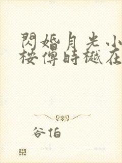 闪婚月光小说荀桉傅时樾在线阅读