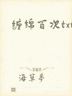 缠绵百次txt