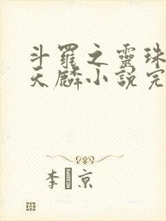 斗罗之灵珠神剑天麟小说完整版txt