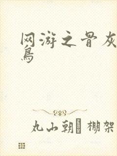 网游之骨灰级菜鸟