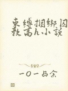 束缚捆绑囚禁调教高h小说