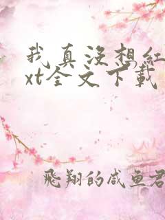 我真没想红啊txt全文下载