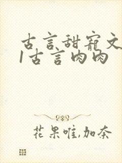 古言甜宠文1v1古言肉肉