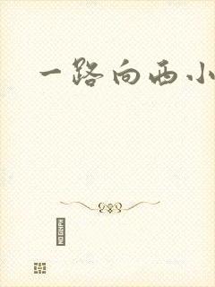 一路向西小说
