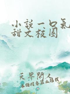 小说一口气看完甜文校园