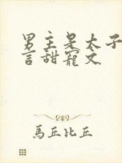 男主是太子的古言甜宠文