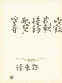 穿越后我吃到了哥儿的软饭炉山灰