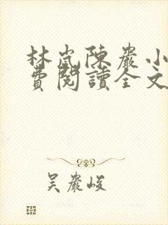 林岚陈岩小说免费阅读全文最新章节