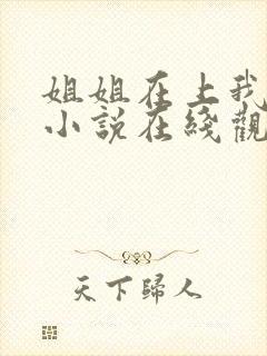 姐姐在上我在下小说在线观看