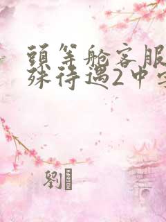 头等舱客服的特殊待遇2中字