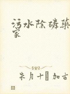 污水除磷药剂厂家