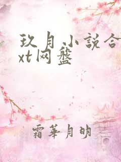 玖月小说合集txt网盘