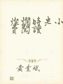 灿烂时光小说免费阅读