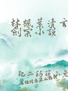 林枫叶清玄神霄剑宗小说