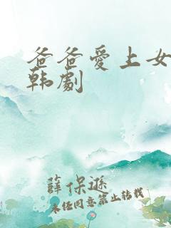 爸爸爱上女儿 韩剧