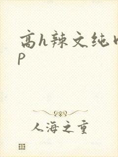 高h辣文纯肉np