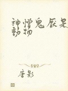 神憎鬼厌是什么动物