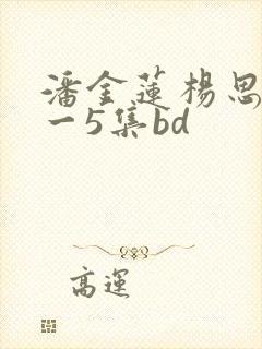 潘金莲杨思敏1一5集bd