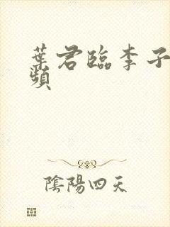 叶君临李子染视频