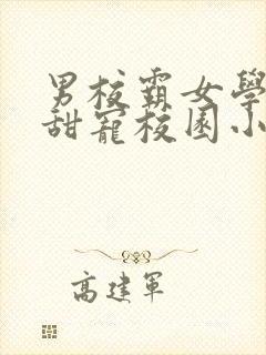 男校霸女学霸的甜宠校园小说