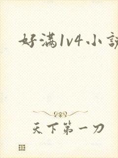 好满1v4小说