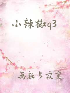 小辣椒q3