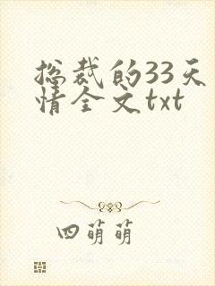 总裁的33天索情全文txt