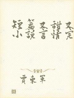 短篇又甜又撩的小说言情完结