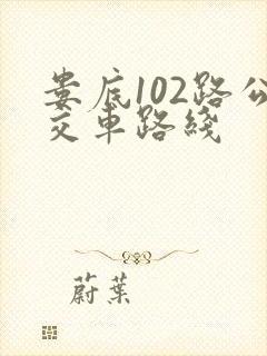 娄底102路公交车路线